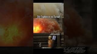 5lb Explosive vs Ballistic Torso [upl. by Fergus]