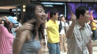 The Worlds Most Shocking Flashmob [upl. by Nwahser]