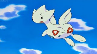 Mistys Togepi evolves into Togetic [upl. by Jephthah]