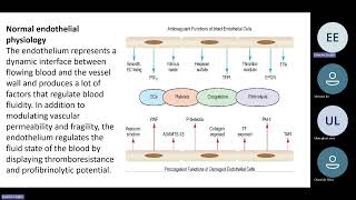 Haemostasis Overview [upl. by Gilliam228]