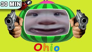 Cocomelon from OHIO  BIG COMPILATION  try to not LAUGH 5 [upl. by Nicki]