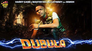 Dubula Nyusa Nyusa HarryCane x Master KG amp DJ Latimmy FeatEemoh [upl. by Anaerol]