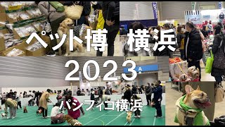 ペット博 横浜2023・パシフィコ横浜・コロナの展示会営業術 [upl. by Onid525]