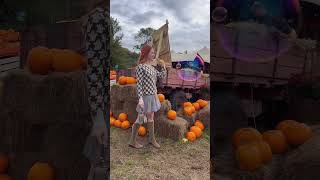 Hobbledown Heath Pumpkin Patch in London 🎃 halloween pumpkinpatch londonlife london autumn [upl. by Col]