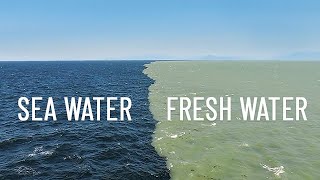 Fresh Water Meets Sea Water – Boundary Explained [upl. by Teiluj]