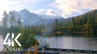 8 Hours of Birds Singing on the Lakeshore and Water Sounds  Relaxing Nature Sounds  Mount Shuksan [upl. by Pen928]