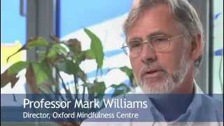 Introdução a Mindfulness  Prof Mark Williams  INICIATIVA MINDFULNESS [upl. by Beker]