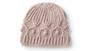 Crochet Winter Trellis Hat [upl. by Fazeli]