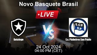 Botafogo vs Ec Pinheiros Sao Paolo  🔴Live Match Today [upl. by Yleoj]