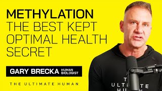 Methylation  The Best Kept Optimal Health Secret [upl. by Secilu447]