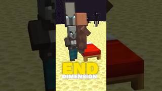 Pillager Raid In END Dimension Of Minecraft [upl. by Sinegold166]