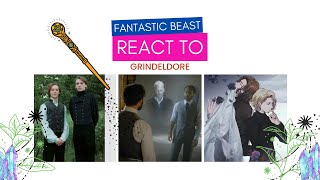 Fantastic beast react to Grindeldore  Albus Dumbledore and Gellert Grindelwald [upl. by Emina633]