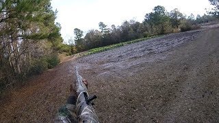 Deer Dog Drives 2017 26 Dec 2017 Runnin and Gunnin [upl. by Nichy]