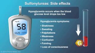 Treatment and Management of Type 2 Diabetes [upl. by Tima]