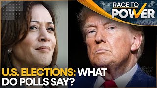 USA Elections 2024 What Do The Latest Popularity Polls Say  Race To Power  World News  WION [upl. by Fleeta]