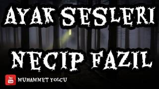 AYAK SESLERİ ŞİİRİ  NECİP FAZIL KISAKÜREK [upl. by Vilberg]