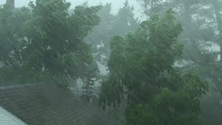 Heavy Rain and Wind Sounds For Sleeping  Relaxation  10 Hours [upl. by Rafaelle525]