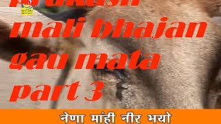 prakash mali bhajan gau mata part 3 [upl. by Lebatsirc]