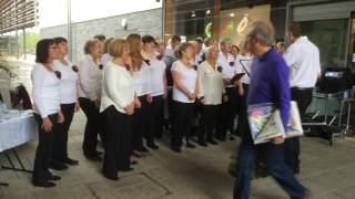 Frodsham Sings choir at MampS Cheshire Oaks in support of Alzheimers Society Wonderful [upl. by Tterraj]