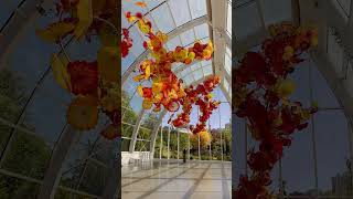 Chihuly Garden amp Glass in Seattle WA July 20 2024 chihuly seattle [upl. by Kiefer]