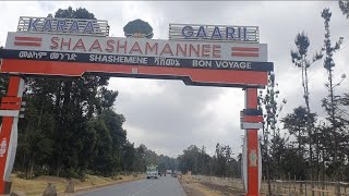 Visit Shashamane Town  Shaashee Bareedduu 2024 [upl. by Htinek]