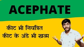 Acephate 75sp insecticide सस्ता और सब से अच्छा किटनाशक प्राथमिक कीटनाशक [upl. by Oeak]