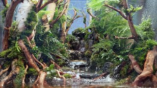 Put a real forest on your desk Creating a healing terrarium with small waterfalls and streams [upl. by Nnahoj706]