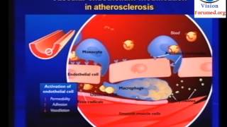 Physiopathologie de Athérosclérose [upl. by Nickolaus]