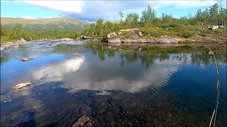 8 dagars flugfiske i arjeplogsfjällen [upl. by Akel204]