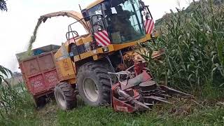 Silage harvesting process [upl. by Jermaine130]