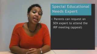 Whos Who in the Exclusion Process  Understanding School Exclusions UCL CAJ [upl. by Adnerb507]