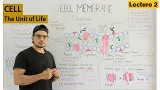 Cell membrane Fluid mosaic model [upl. by Eadith]