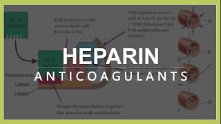 Anticoagulants  Heparin  mechanism of action indications side effects and contraindications [upl. by Ralyt515]