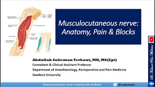 Musculocutaneous nerve Anatomy Pain And Blocks [upl. by Notslar]