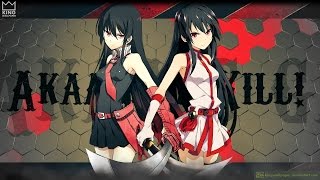 Akame Ga Kill Liar Mask Opening 2 Akame vs Esdeath [upl. by Moyra338]