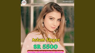 Aslam Singer SR 5500 [upl. by Ezaria366]