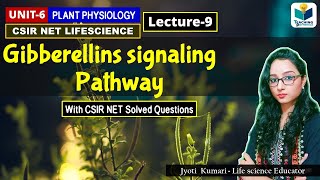 GIBBERELLIN SIGNALING PATHWAY  PHYTOHORMONEPART9 CSIR NETPLANT BIOLOGY [upl. by Knut]