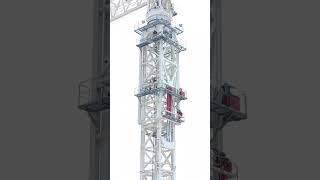 How Tower Cranes Are Built  The Complete Process [upl. by Alidis242]