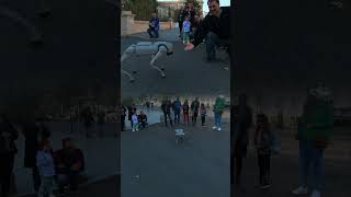 Robo Dog on Bucharest 🤖🐕 robodog robot dog shorts travel [upl. by Pheni937]