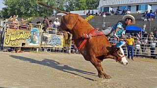 SON TOROS DIFICIL DE QUEDARLES Los Destructores de Memo Ocampo por primera vez en michigan [upl. by Nujra]