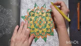 Coloring Chat Mandalas For Meditative Coloring Inner Inking Madeleine Rabil Dollar Tree Gel Pens [upl. by Gazo]