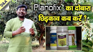 Planofix का दोबारा छिड़काव कब करें planofix second spray  Comments Answer AnilRamanVillager [upl. by Holbrooke650]