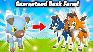 HOW TO GET GUARANTEED DUSK FORM LYCANROC IN POKEMON GO Easy Method Found  Lustrous Odyssey [upl. by Lah]