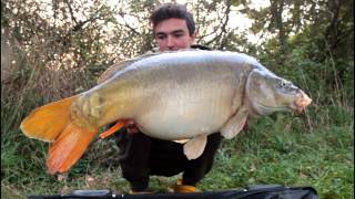 Cold Night Carp Runs  FreestyleFishing [upl. by Nyledam37]