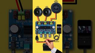 Subwoofer amplifier board  amplifier board diagram  TPA3116D2 [upl. by Ainala880]