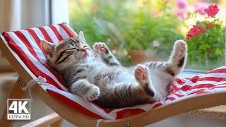 Therapy Music for Nervous Cats  Separation Anxiety Music to Help Cats Relax  Gentle Cat Music [upl. by Allesig123]