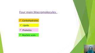 12the Class Chemistry Chapter 14 Lec 1 Macromolecules  PGC Bhalwal [upl. by Esilana]