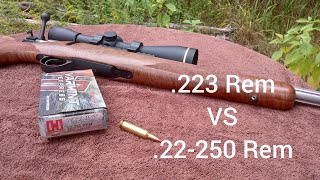 Is The 22250 Remington Right For You [upl. by Ultan]