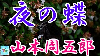 【朗読】夜の蝶 山本周五郎 読み手アリア [upl. by Nylodnarb]