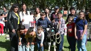 Positivo balance deja el 26º Concurso Crianza del Ternero en Sociedad rural de 9 de Julio [upl. by Palmer850]